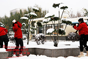 宝润达美丽雪景